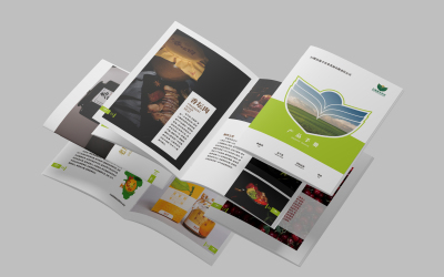 平面電腦圖文設計 數字時代視覺傳播的核心技藝